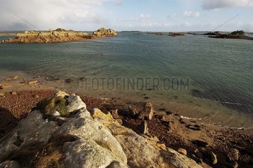 Mündung der Trieux -Küste der Côtes d'Reporor Bretagne