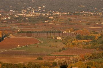 Landwirtschaftliche Ebene im Herbst Vaucluse Provence