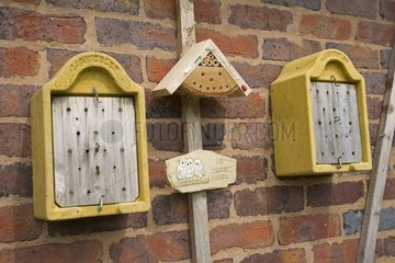 Insektennist- und Winterschlafhaus an einer Wall UK