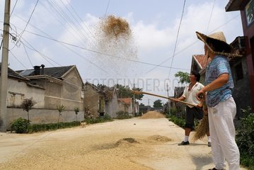 Gewinnen von Weizen durch die Männer in der Full Street China