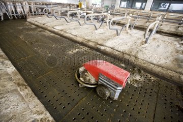Reinigen von Roboter auf dem Boden eines Stalls Italien