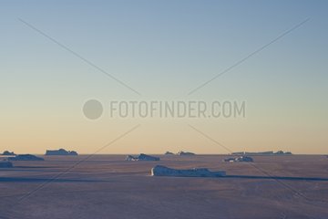 Icebergs and ice Adelie Land Antarctica