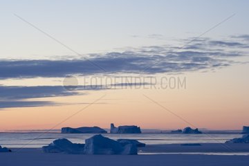 Icebergs and ice Adelie Land Antarctica