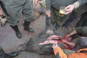 Jäger  die eine Leiche aus Wildschwein darstellen