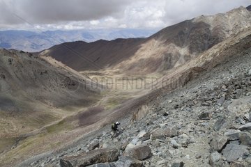 Hiker walking towards the neck Digar - Himalaya India