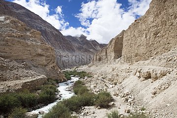 River Hunder - Nubra Valley Ladakh Himalaya India