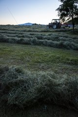 Mixing hay and tractor - Préalpes d Azur RNP France
