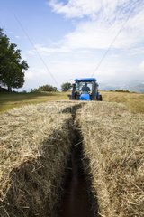 Collection of haystacks - Préalpes d Azur RNP France