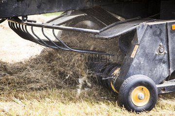 Mowing hay - Préalpes d Azur RNP France