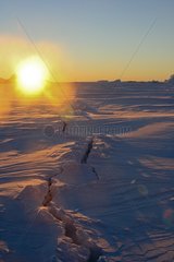 Sun and river in the ice Adelie Land