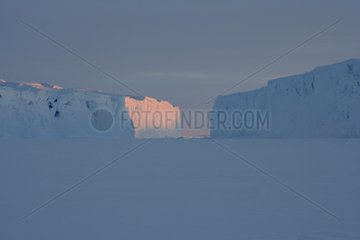 Icebergs frozen in the ice in winter Terre Adélie