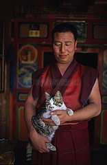 Chat de gouttière dans les bras d'un moine Tibet