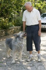 14 Jahre alter Hund und sein Meister Frankreich