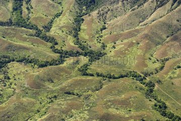 Pastures and degraded dry forest New Caledonia
