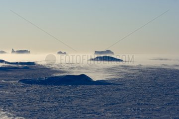Katabatic wind lifting the snow on the ice Adelie Land