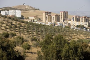 Expansion der Stadt auf Kultivierzonen Spanien