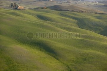 Green and hilly landscape of Tuscany Italy
