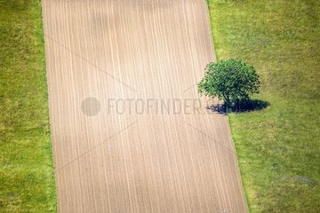 Fields in the Bugey Belley Region  Ain  France