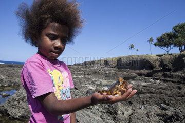Girl playing with a rocks crab molting -Tanna island Vanuatu