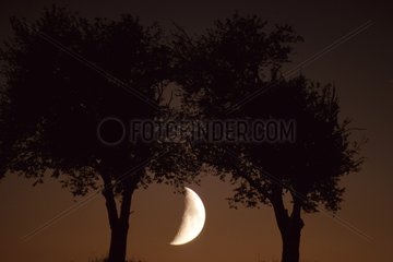 Mond Halbmond zwischen zwei Frankreich -Silhouetten Frankreich