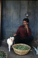 Cat near a man selling vegetables India