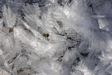 Ice sheet near a mountain stream   Queyras   Hautes-Alpes   France