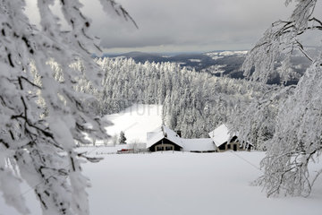 Reserve Grand Ventron in winter - Vosges France