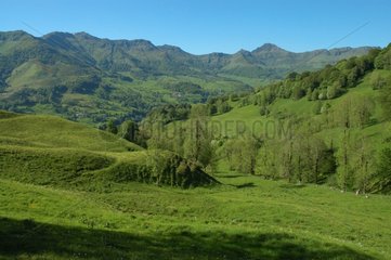 Parc Naturel Régional des Volcans d'Auvergne dans le Cantal