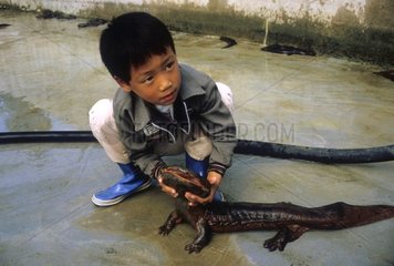 Child with a Chinese Giant Salamander China