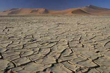Terre craquelée & dune 45 Sossusvlei Désert de Namib Namibie