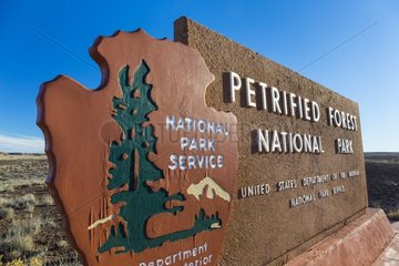Petrified Forest National Park  Arizona  USA  America