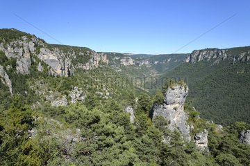 Jonte gorges - Causse Mejean - Lozère - Cevennes National Park - France