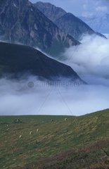Clouds under the collar of Tourmalet in August France