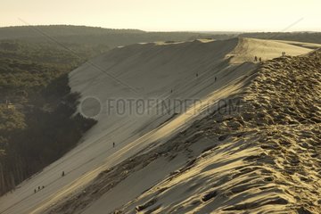 Summit Pilat of the dune on the Atlantic Coast France