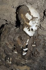 Mummy (1200-1400) Altiplano Bolivia
