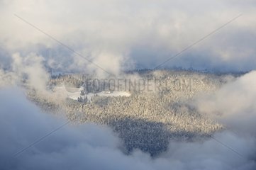 Vosges Berge in den Wolken im Winter Frankreich