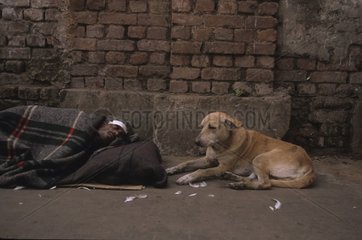 Chien couché à côté d'un homme dans la rue Calcutta Inde