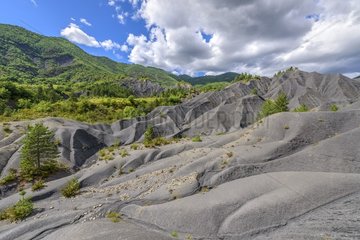 Roubines in the geological reserve of Haute Provence  near Digne   France . Rubin sector in Calabria - = roubines formed Black Earth marl Oxfordian   Jurrassique of age (deep marine sediments )