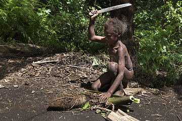 Boy cutting roots Taro - Tanna Island Vanuatu