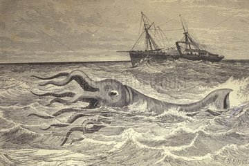 Gravure d'un Calmar Géant et d'un navire