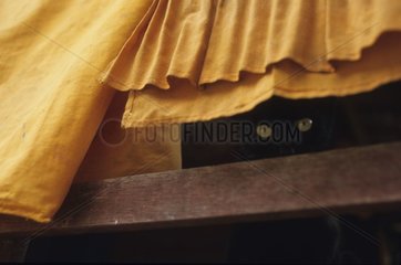 Portrait of a Cat hidden by traditional clothing
