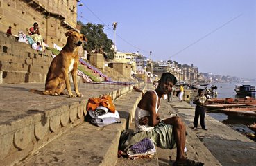 Man and dog sitting on ghats beside the Ganges India