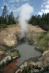 Kaldron des Dämons bei MamMotte Hot Springs Yellowstone NP