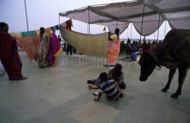 Heilige Kuh und Kinder in den Straßen von Vârânaçî India