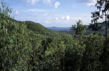 Landschaft im Quy Nhon Pass Vietnam