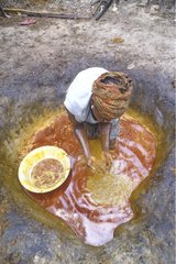 Preparation of the palm oil Guinea