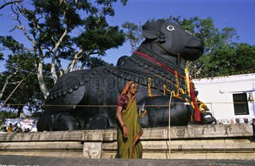 Die Statue von Nandi und der alten Frau Mysore Indien
