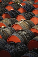 Wine barrels of Banyuls growing old in the open air Banyuls