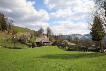 Agricultural landscape of Apuseni Mountains Romania