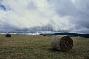 Haystacks under the storm on the plateau of Auvergne